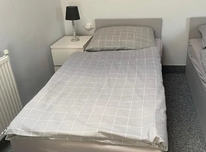 Alena 公寓 俄斯特拉发