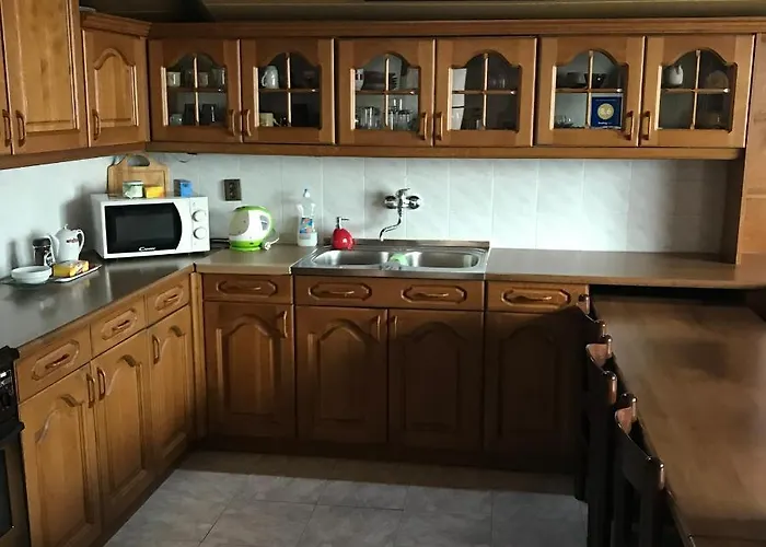 Alena 俄斯特拉发