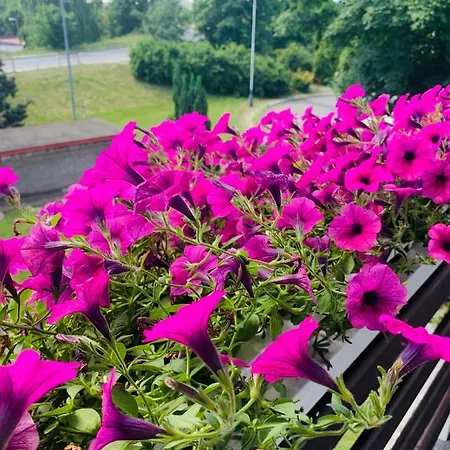 Apartman Ubytovani Alena *