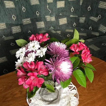 Ubytovani Alena Apartman