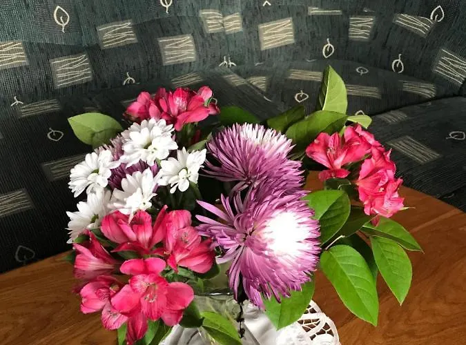 Alena Апартаменти